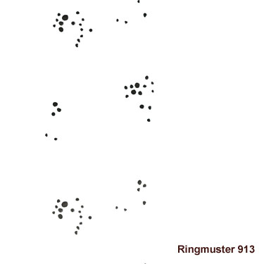 Ringusterwalze 913 Punkte